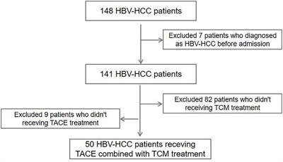 Circulating Cell-Free mtDNA Content as a Non-invasive Prognostic Biomarker in HCC Patients Receiving TACE and Traditional Chinese Medicine